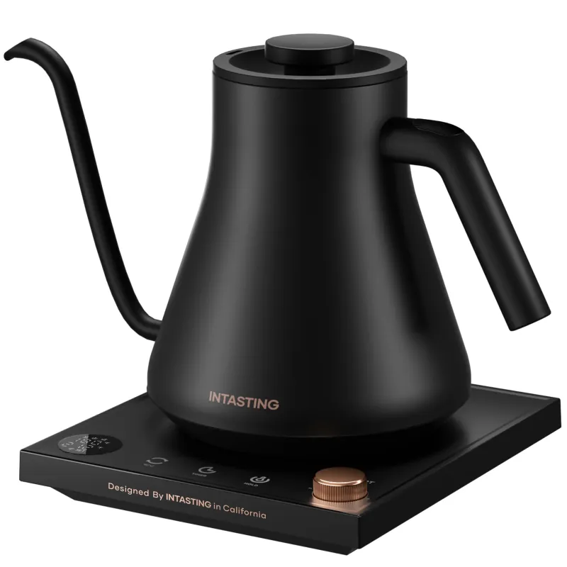 Intasting Gooseneck Electric Kettle